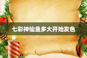 七彩神仙鱼多大开始发色