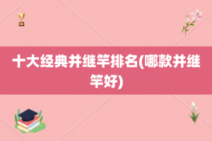 十大经典并继竿排名(哪款并继竿好)