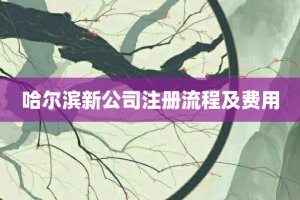 哈尔滨新公司注册流程及费用