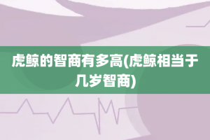 虎鲸的智商有多高(虎鲸相当于几岁智商)