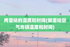 烤蛋挞的温度和时间(做蛋挞空气炸锅温度和时间)