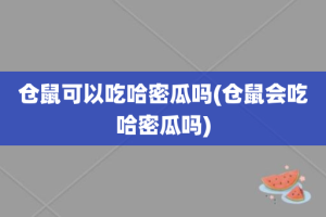 仓鼠可以吃哈密瓜吗(仓鼠会吃哈密瓜吗)