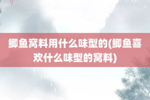 鲫鱼窝料用什么味型的(鲫鱼喜欢什么味型的窝料)