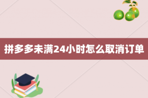 拼多多未满24小时怎么取消订单