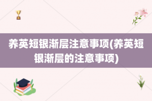 养英短银渐层注意事项(养英短银渐层的注意事项)