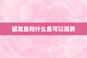 银龙鱼和什么鱼可以混养