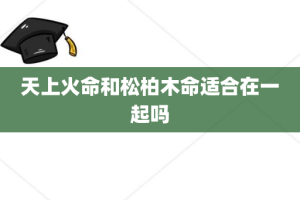 天上火命和松柏木命适合在一起吗
