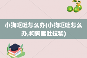 小狗呕吐怎么办(小狗呕吐怎么办,狗狗呕吐拉稀)