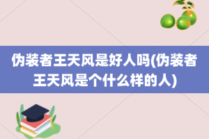 伪装者王天风是好人吗(伪装者王天风是个什么样的人)