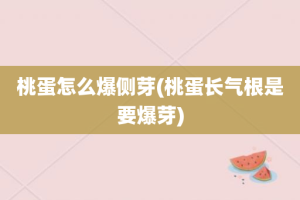 桃蛋怎么爆侧芽(桃蛋长气根是要爆芽)