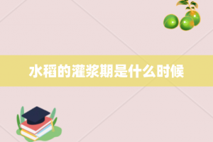 水稻的灌浆期是什么时候