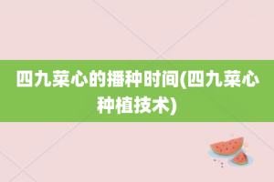 四九菜心的播种时间(四九菜心种植技术)