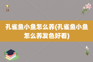 孔雀鱼小鱼怎么养(孔雀鱼小鱼怎么养发色好看)