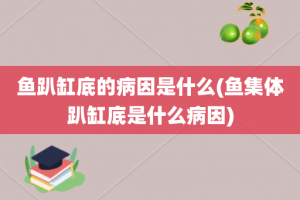 鱼趴缸底的病因是什么(鱼集体趴缸底是什么病因)