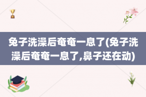 兔子洗澡后奄奄一息了(兔子洗澡后奄奄一息了,鼻子还在动)