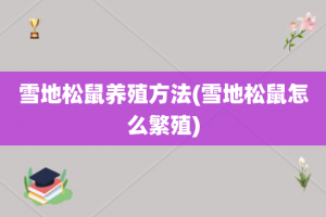 雪地松鼠养殖方法(雪地松鼠怎么繁殖)