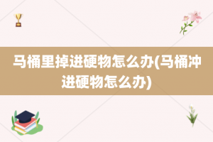 马桶里掉进硬物怎么办(马桶冲进硬物怎么办)