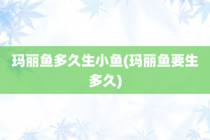 玛丽鱼多久生小鱼(玛丽鱼要生多久)