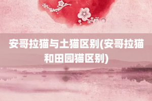 安哥拉猫与土猫区别(安哥拉猫和田园猫区别)