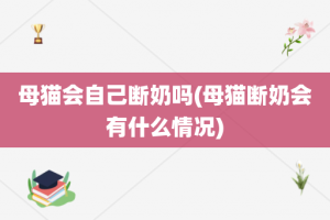 母猫会自己断奶吗(母猫断奶会有什么情况)