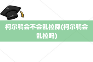 柯尔鸭会不会乱拉屎(柯尔鸭会乱拉吗)