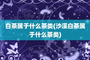白茶属于什么茶类(沙溪白茶属于什么茶类)