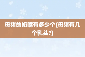 母猪的奶嘴有多少个(母猪有几个乳头?)