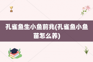 孔雀鱼生小鱼前兆(孔雀鱼小鱼苗怎么养)