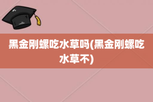 黑金刚螺吃水草吗(黑金刚螺吃水草不)