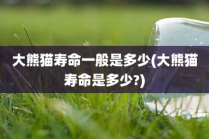 大熊猫寿命一般是多少(大熊猫寿命是多少?)