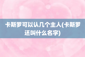 卡斯罗可以认几个主人(卡斯罗还叫什么名字)