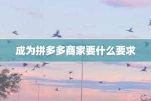 成为拼多多商家要什么要求