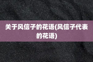 关于风信子的花语(风信子代表的花语)
