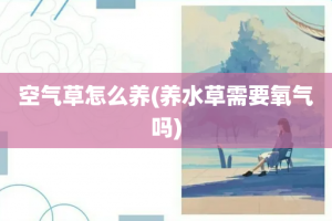 空气草怎么养(养水草需要氧气吗)