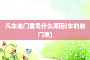 汽车油门重是什么原因(车的油门重)