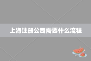 上海注册公司需要什么流程