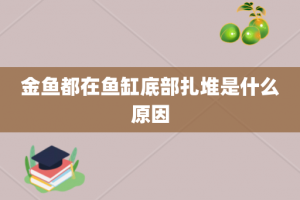 金鱼都在鱼缸底部扎堆是什么原因