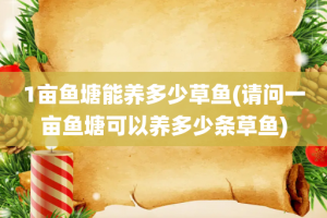 1亩鱼塘能养多少草鱼(请问一亩鱼塘可以养多少条草鱼)