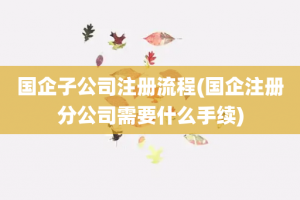 国企子公司注册流程(国企注册分公司需要什么手续)