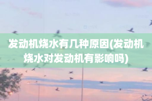 发动机烧水有几种原因(发动机烧水对发动机有影响吗)