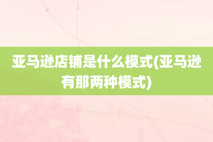亚马逊店铺是什么模式(亚马逊有那两种模式)