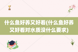 什么鱼好养又好看(什么鱼好养又好看对水质没什么要求)