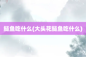 鲢鱼吃什么(大头花鲢鱼吃什么)