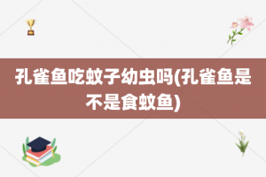 孔雀鱼吃蚊子幼虫吗(孔雀鱼是不是食蚊鱼)