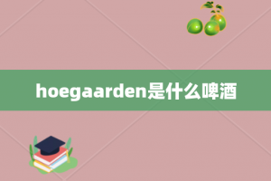 hoegaarden是什么啤酒