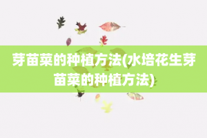 芽苗菜的种植方法(水培花生芽苗菜的种植方法)