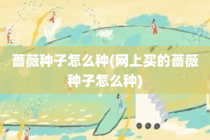 蔷薇种子怎么种(网上买的蔷薇种子怎么种)