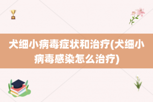 犬细小病毒症状和治疗(犬细小病毒感染怎么治疗)