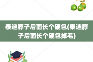 泰迪脖子后面长个硬包(泰迪脖子后面长个硬包掉毛)