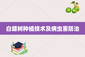 白蜡树种植技术及病虫害防治